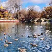 8月就去拉萨！日光之城的朝圣之旅，布达拉宫、大昭寺，这份攻略让心灵得到净化！