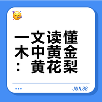【自然瑰宝】黄花梨|木中黄金·独特降香