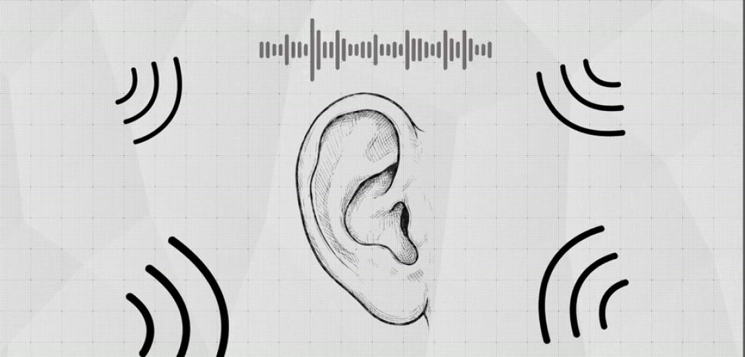 汽车工程师如何剿灭噪音?噪音为何跟豪华质感息息相关|零跑D19 NVH拆解
