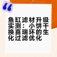 尼特利滤桶伊罕小饼干换喜瑞环，前置改半棉