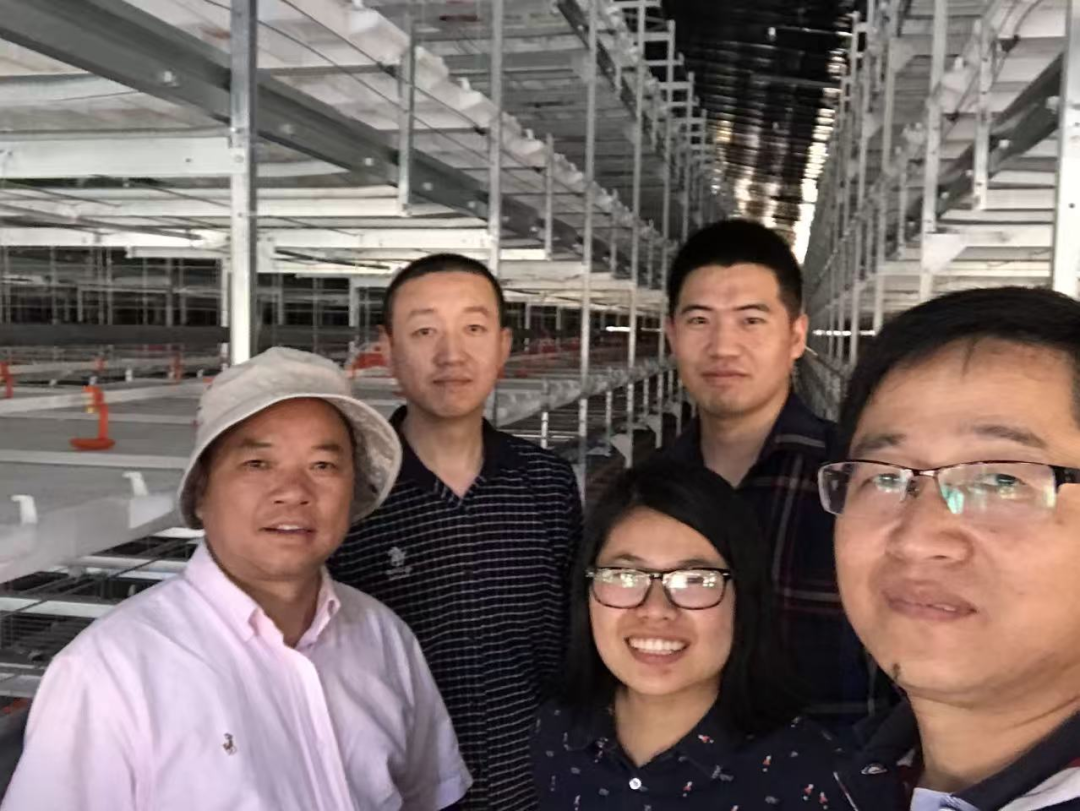 服务国家战略的领军者(13) | 白羽肉鸡产业:从实验室到养殖场 福建农林大学科研成果夯实圣农白羽肉鸡产业基石