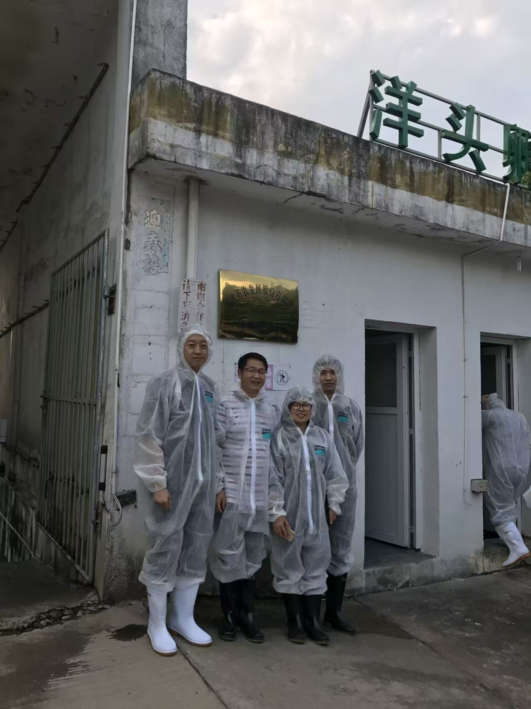 服务国家战略的领军者(13) | 白羽肉鸡产业:从实验室到养殖场 福建农林大学科研成果夯实圣农白羽肉鸡产业基石