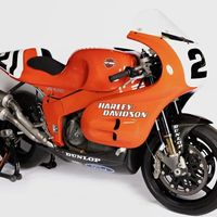 哈雷的叛逆孤品