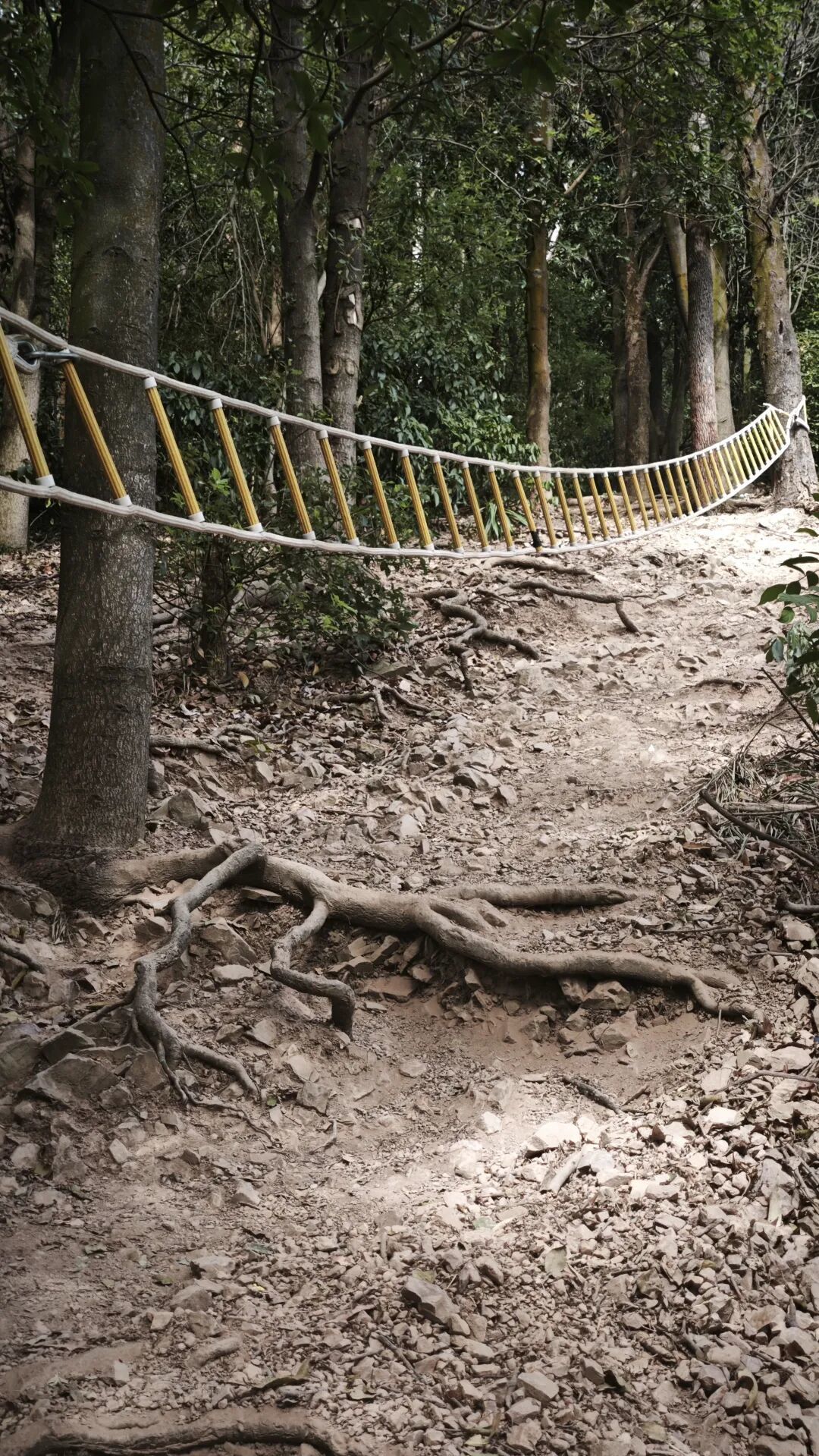 广州一个很野快吓尿的野山，值得去征服