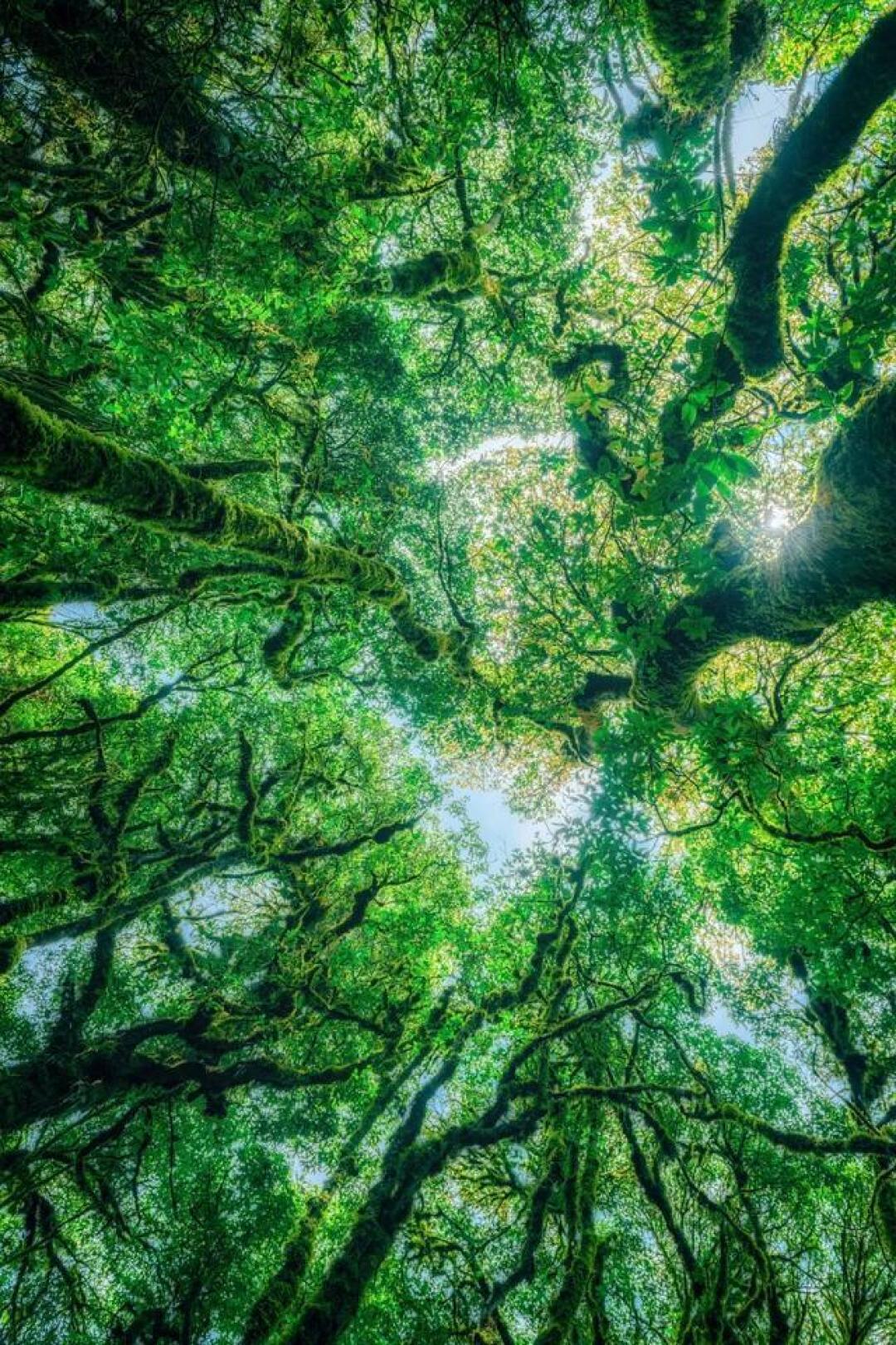 春节9天假别瞎跑，云南这条暖冬线避寒又年味，带家人慢慢游