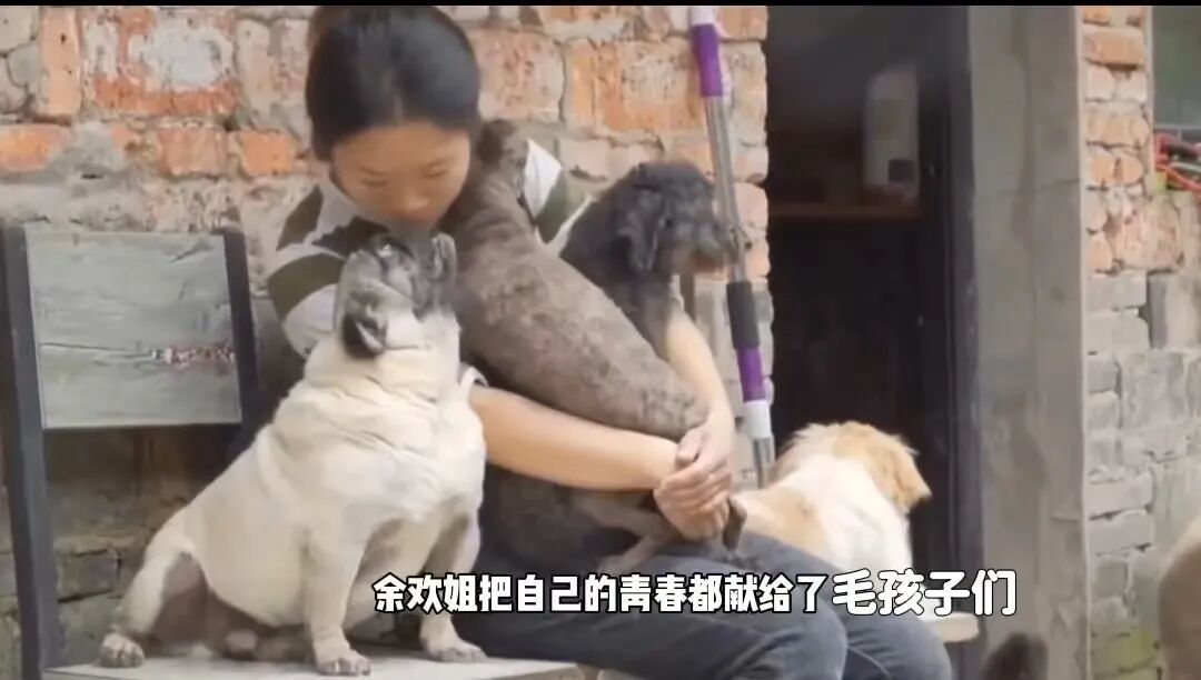 90后女孩深山守护200只流浪毛孩,最难过的是看到那些无辜眼神中的期待却无力满足的心酸