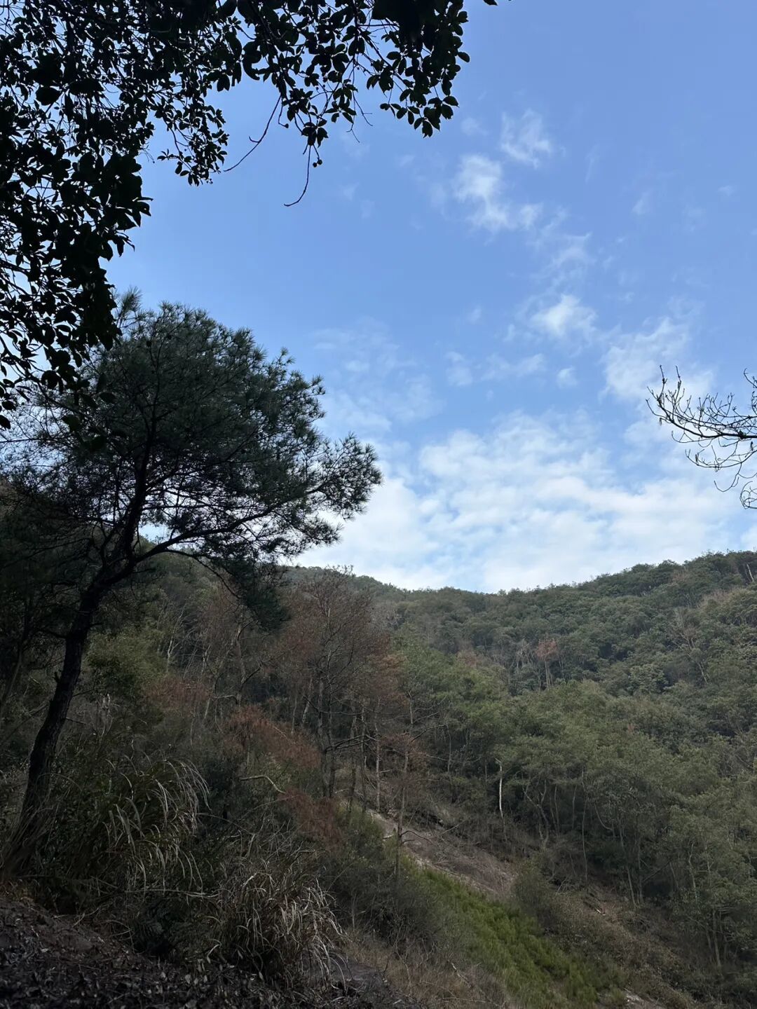 江浙沪徒步圈疯传的神仙路线,这1条居然免费