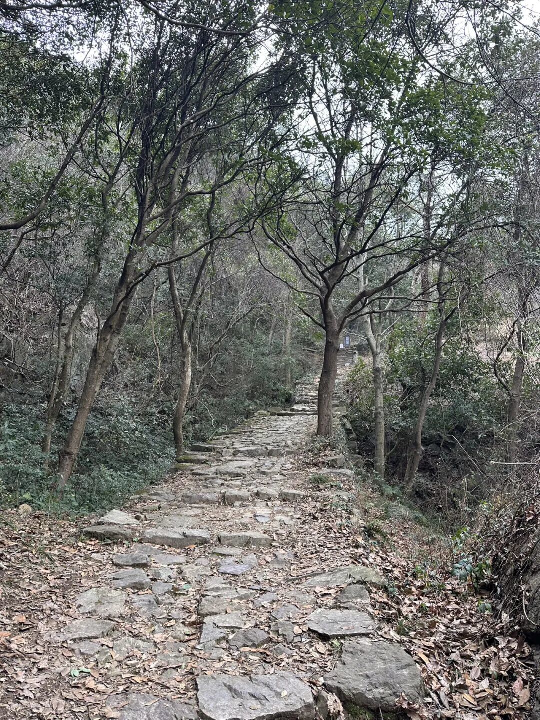 江浙沪徒步圈疯传的神仙路线,这1条居然免费