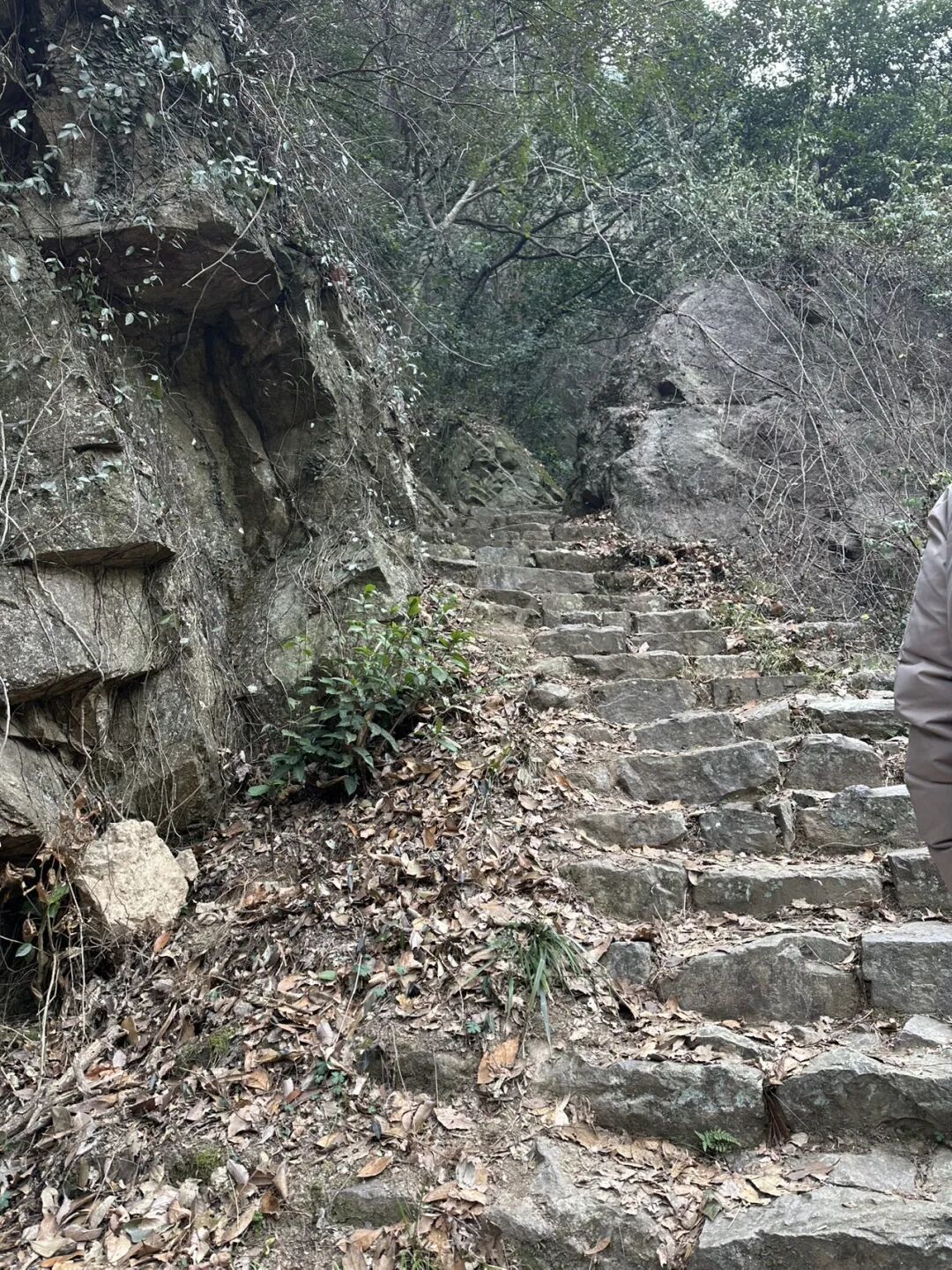 江浙沪徒步圈疯传的神仙路线,这1条居然免费