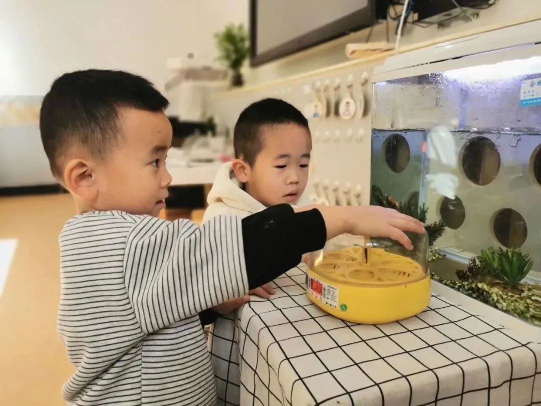 从触觉到听觉:美国幼儿园5类感官25个创意游戏,让孩子玩中学!(超实用)