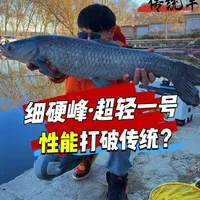 这款传统钓竿性能敢对标千元价位？那究竟是实力派，还是大噱头？ #鱼竿测评  #2025dou来钓鱼 #细硬峰超轻一号  #挑战冬日不封竿 #老坛维它米