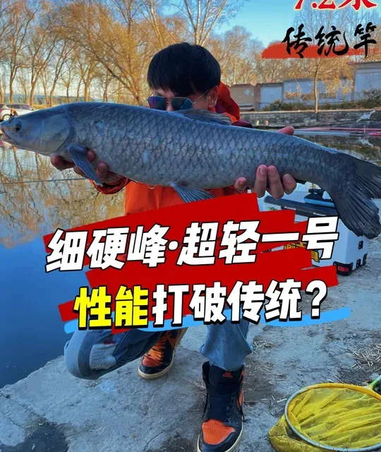 这款传统钓竿性能敢对标千元价位？那究竟是实力派，还是大噱头？ #鱼竿测评  #2025dou来钓鱼 #细硬峰超轻一号  #挑战冬日不封竿 #老坛维它米