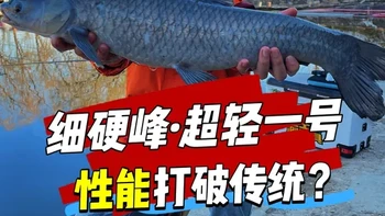 这款传统钓竿性能敢对标千元价位？那究竟是实力派，还是大噱头？ #鱼竿测评  #2025dou来钓鱼 #细硬峰超轻一号  #挑战冬日不封竿 #老坛维它米