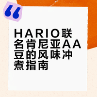 V60手冲记录丨无牌咖啡×HARIO肯尼亚