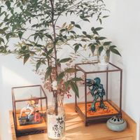 胶佬不止于做模——模型展示盒推荐