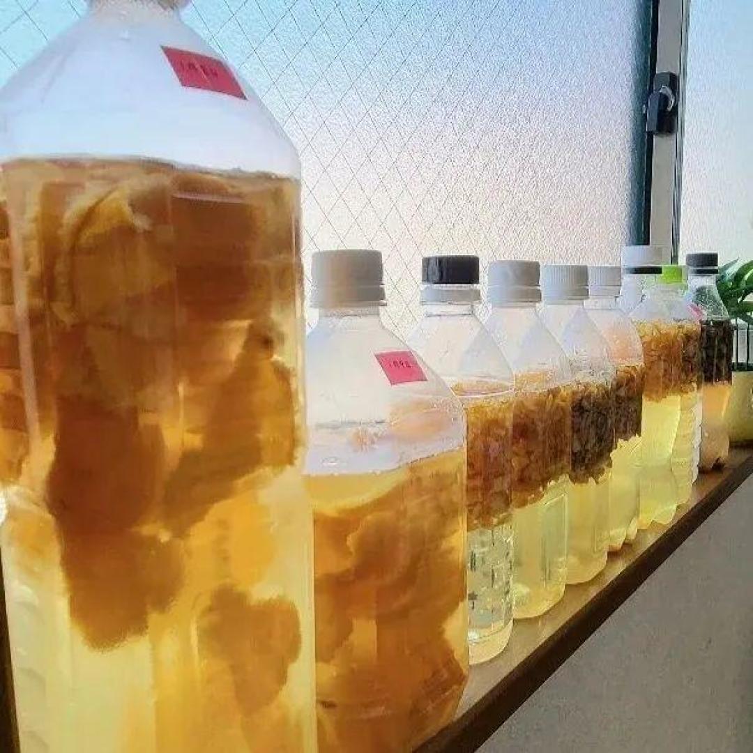 长寿花最爱这“3种水”5天喂一杯,根肥叶绿,开花“一波接一波”