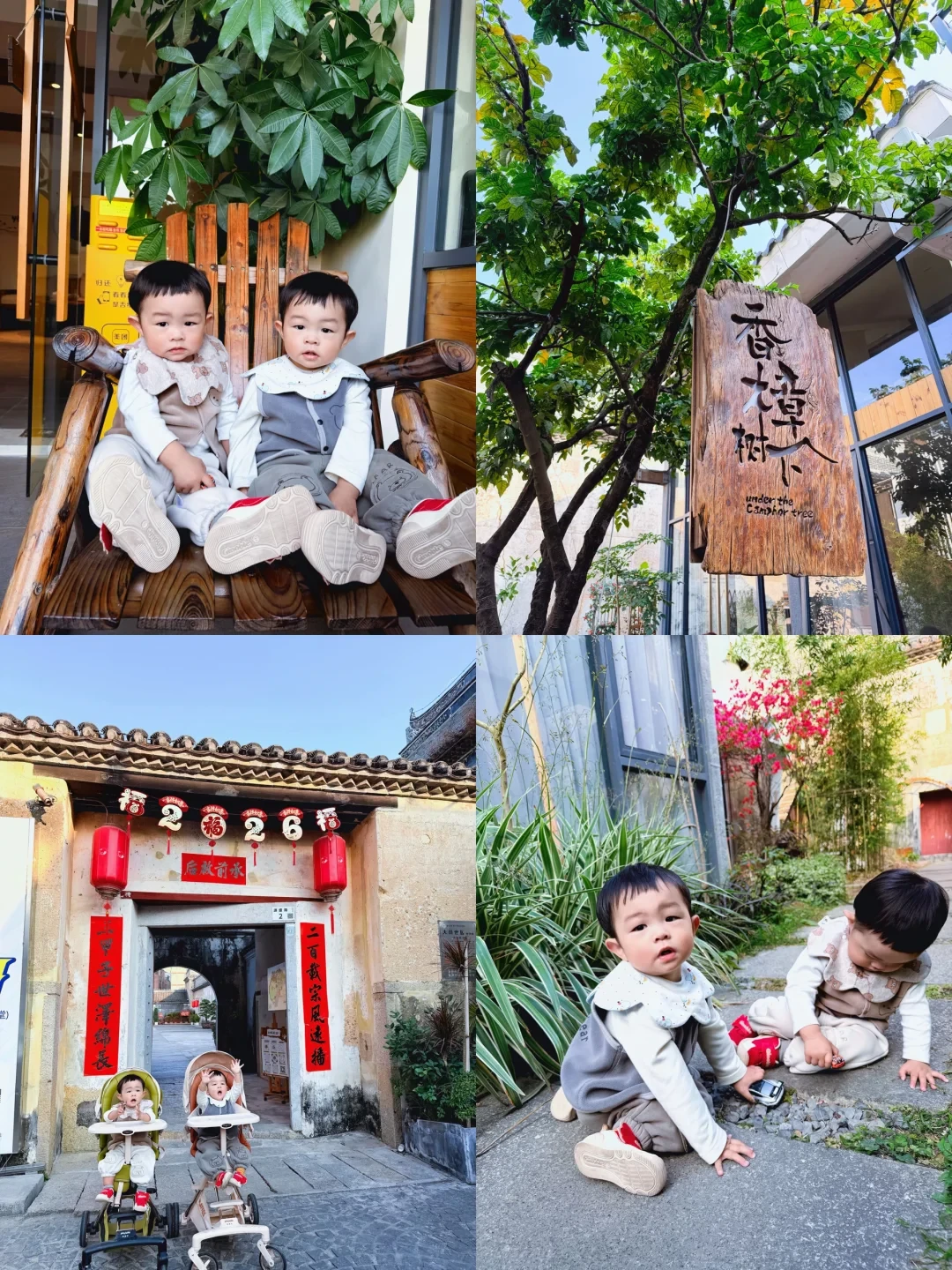 试睡香樟树下|双胞胎在这民宿住到不想走🏡
