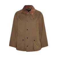 聊聊barbour五彩斑斓的橄榄绿和classics 揭秘鼠尾草绿色终极形态