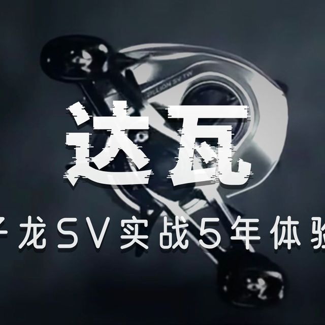 达亿瓦21子龙水滴轮，我个人最喜欢最常用的一颗水滴轮