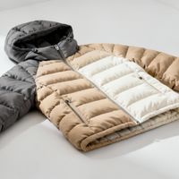 国潮羽绒服崛起冲击波司登：200-500元价格带成新战场