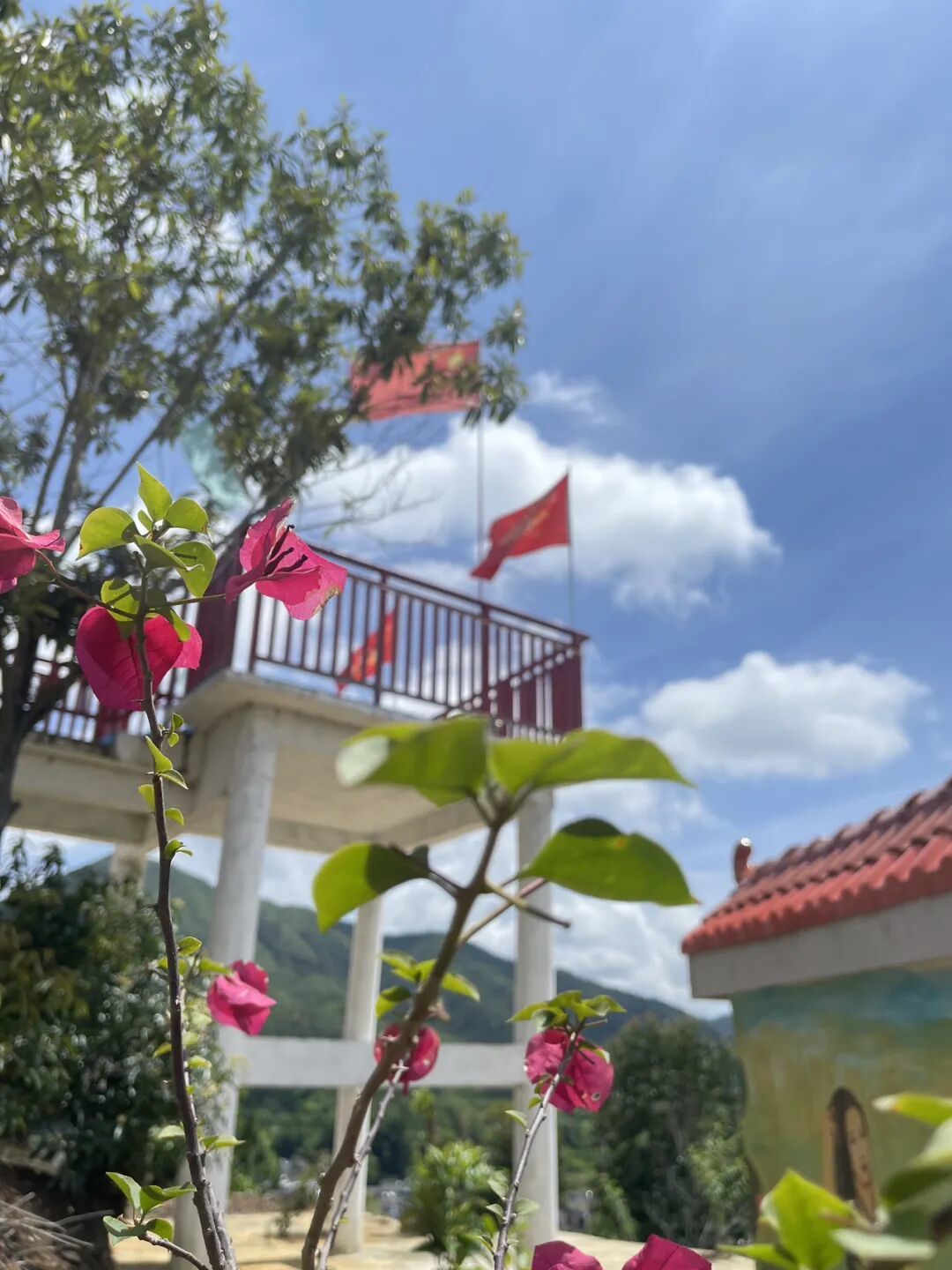 梅州丰顺惊现