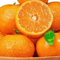 过春节的 100 种可能，砂糖桔管够，吃吃喝喝超惬意