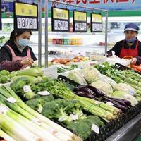 东京40元一颗白菜，中国却实现果蔬自由：背后原因是什么？