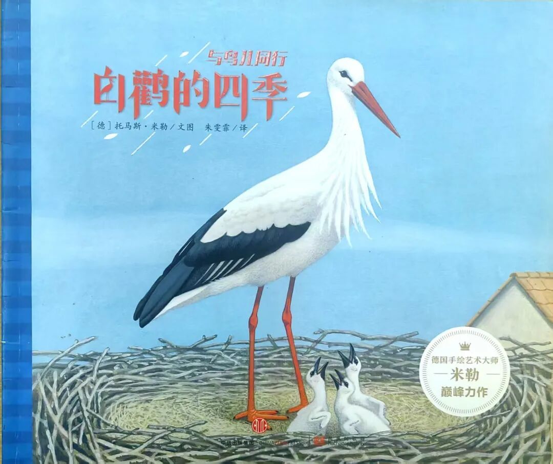 【绘本推荐】与鸟儿同行：解锁鸟类世界的趣味科普