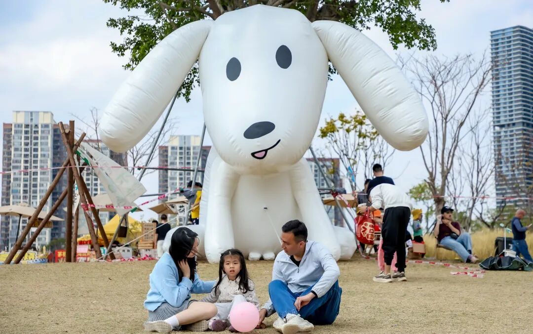 全城召集!2025最chill最萌的宠物生活节,带上毛孩来陈村NCC公园撒欢!