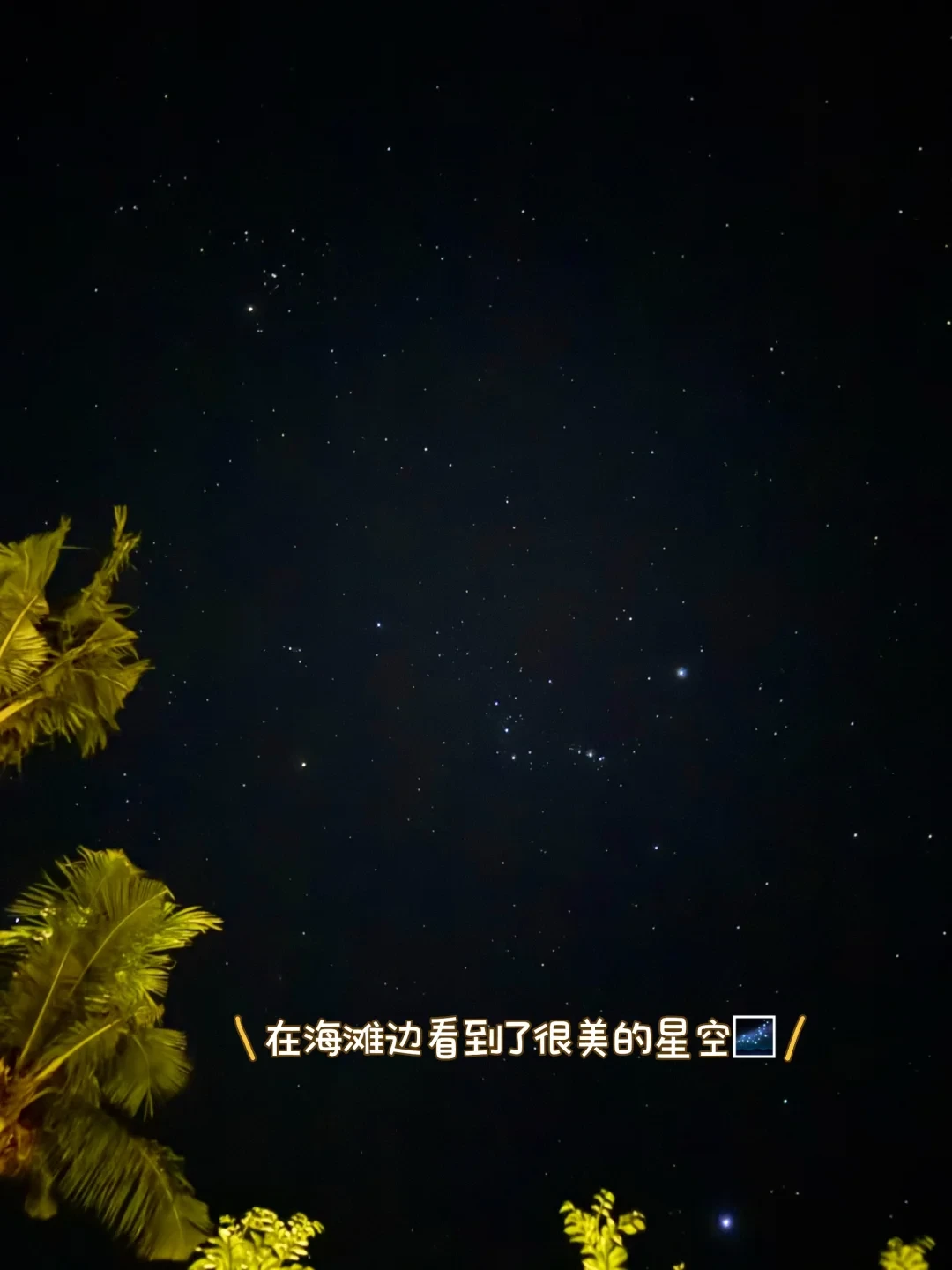 O+A联考🤿恐水星人顺利拿证都经历了啥