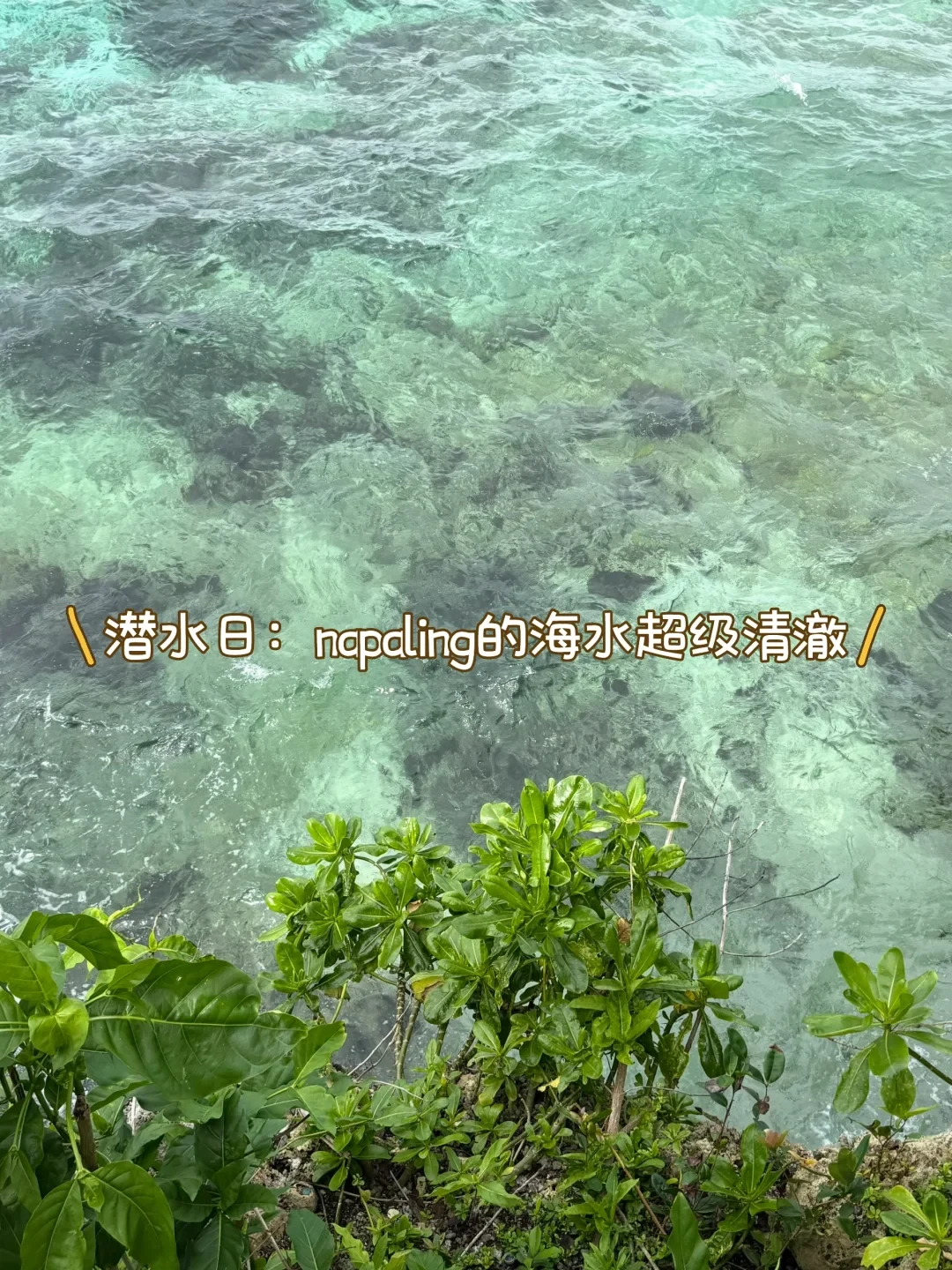 O+A联考🤿恐水星人顺利拿证都经历了啥