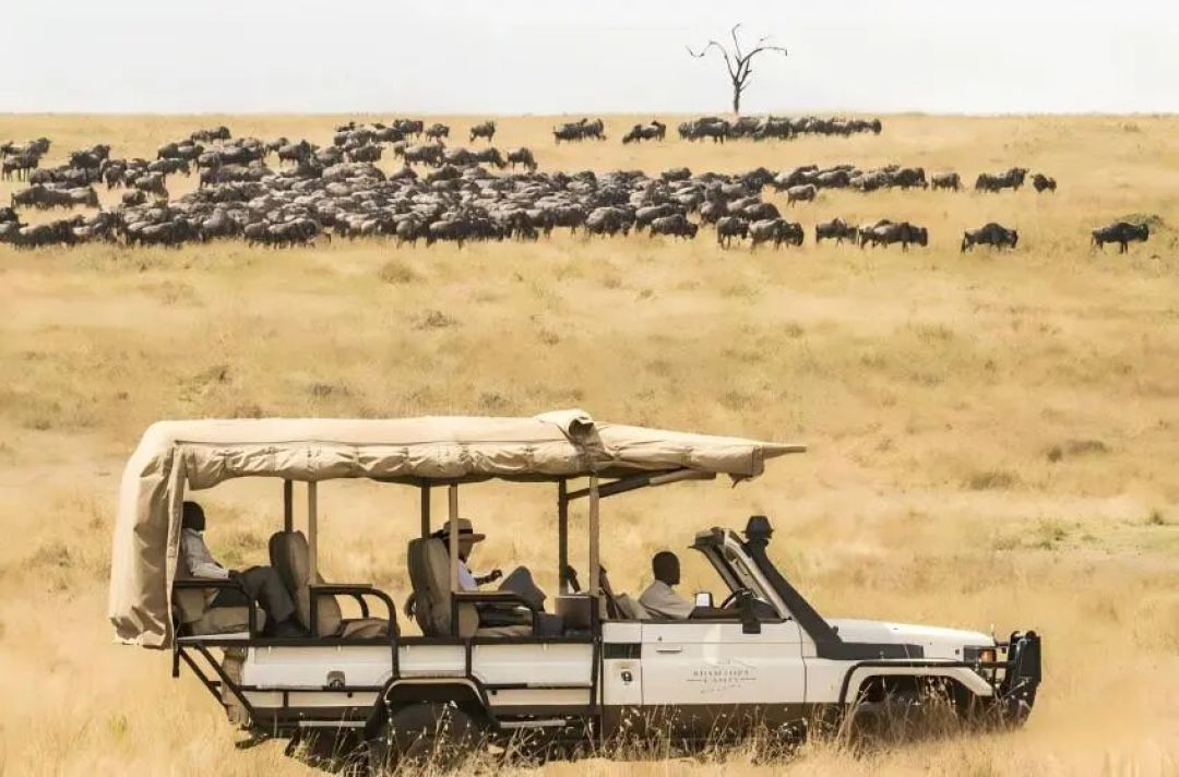 Wild Luxury丨来做“探索频道的现场观众”,非洲大地上的Ol Lentille Kenya+Bushtops