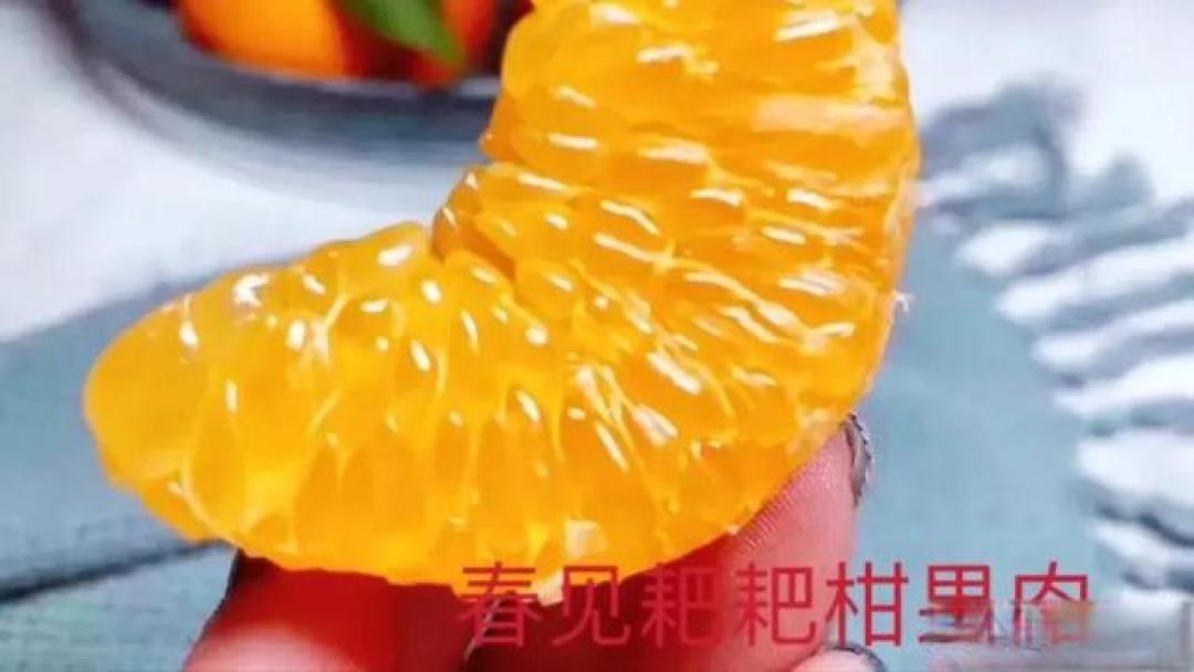 腊月一到,四川蒲江飘满柑橘甜!这颗“耙耙柑”凭啥火遍全国?