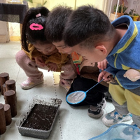 深度学习视角下幼儿园自然角活动的实践路径探索——以“泥鳅”饲养活动为例