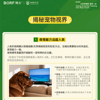 它们眼中的世界 | 你不知道的宠物视觉奥秘与健康基石