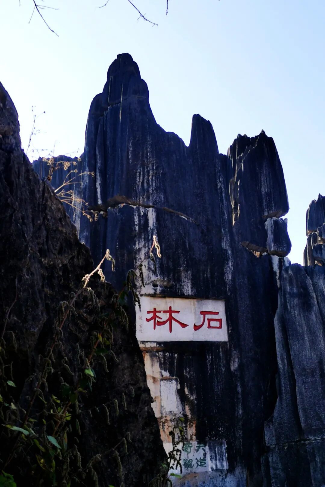 游记 | 彩云之南 - 冬日春城