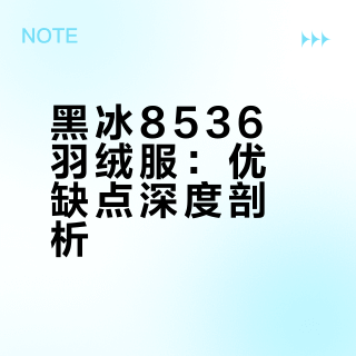 黑冰8536羽绒服：优缺点深度剖析
