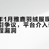 2026年1月雅鹿羽绒服现“孝”字胸章引争议，平台介入调查退换货流程漏洞
