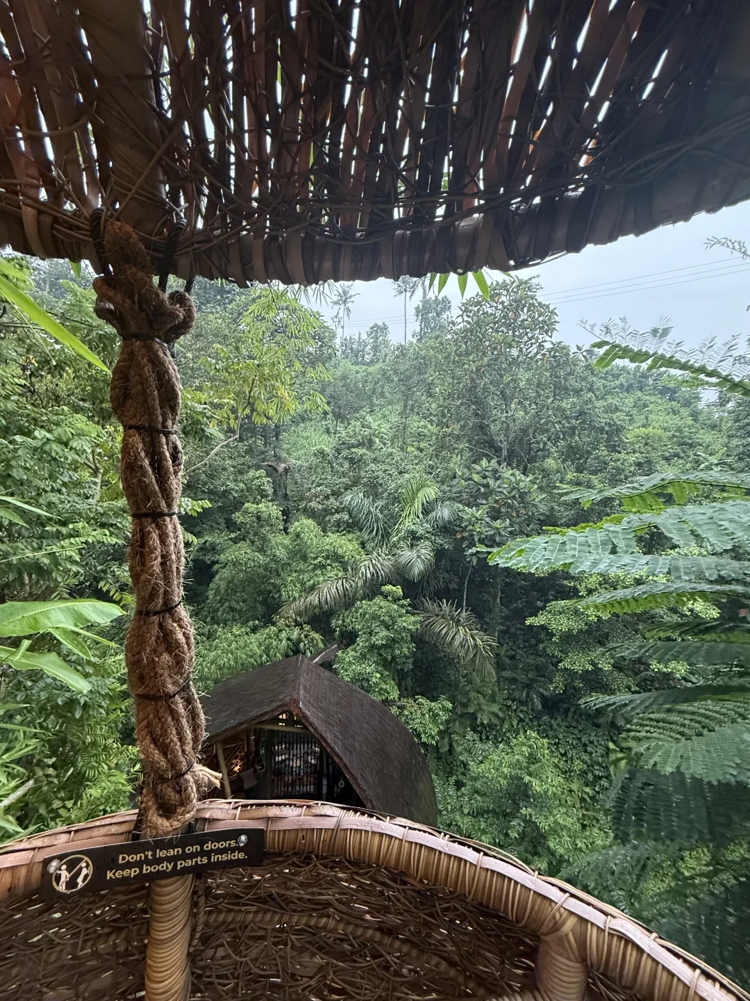 Sanna Ubud🌳🌧️|在巴厘岛住进森林的两日