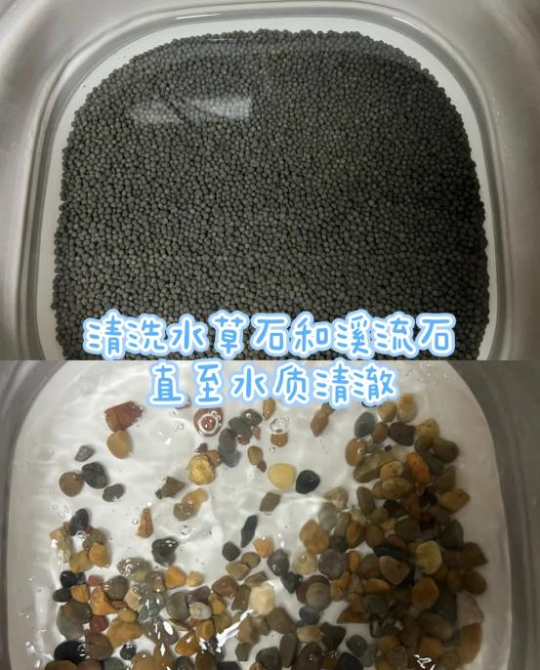 河南一小伙子,自制生态小鱼缸,摆在办公桌上,引来无数同事跟风