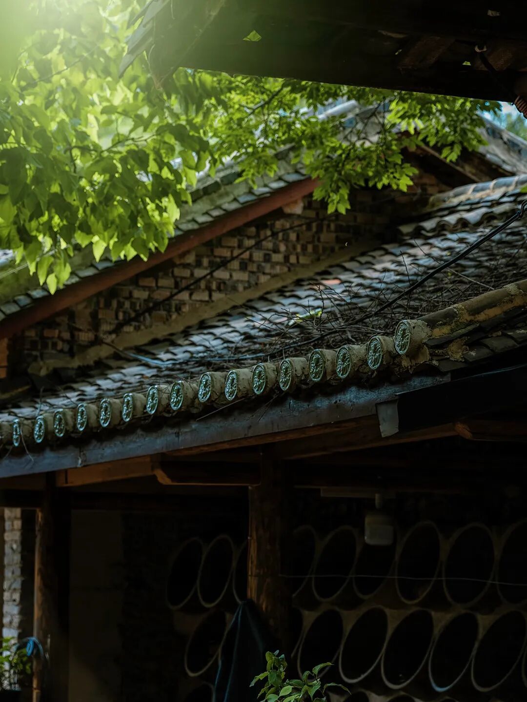 春节反向游,松驰感不输大理,冬日阳光晒不完,0商业化、物价超低的小城,逛吃指数200%