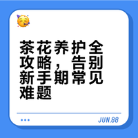 茶花养护全攻略，告别新手期常见难题