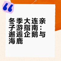1月份小众亲子游,大连的冬天太适合带娃啦