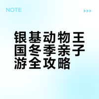 银基冬季带娃封神攻略🔥2天1晚玩回本！烟花+