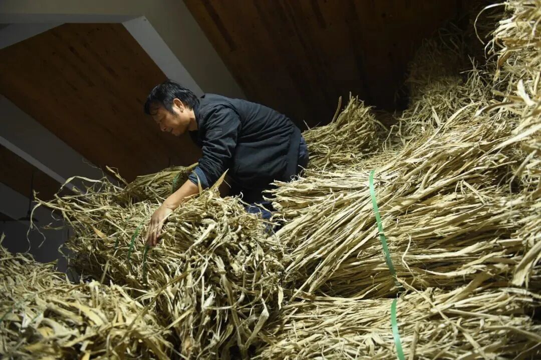 一纸存千年?复旦大学录取通知书,居然选择了这种纸!
