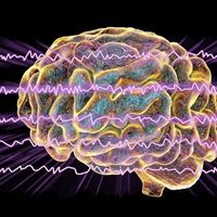 多巴胺管理与意志力：哪种方法更有效戒断色情成瘾？全网观点大PK