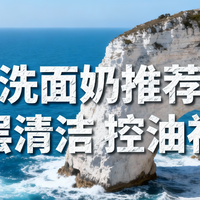 2026年百元内平价洗面奶行业深度解析：从清洁刚需到护肤新载体