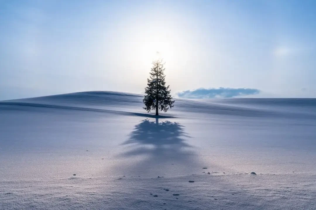 日本最美的一个乡村,人口不到1万,却每年接待120+万游客~