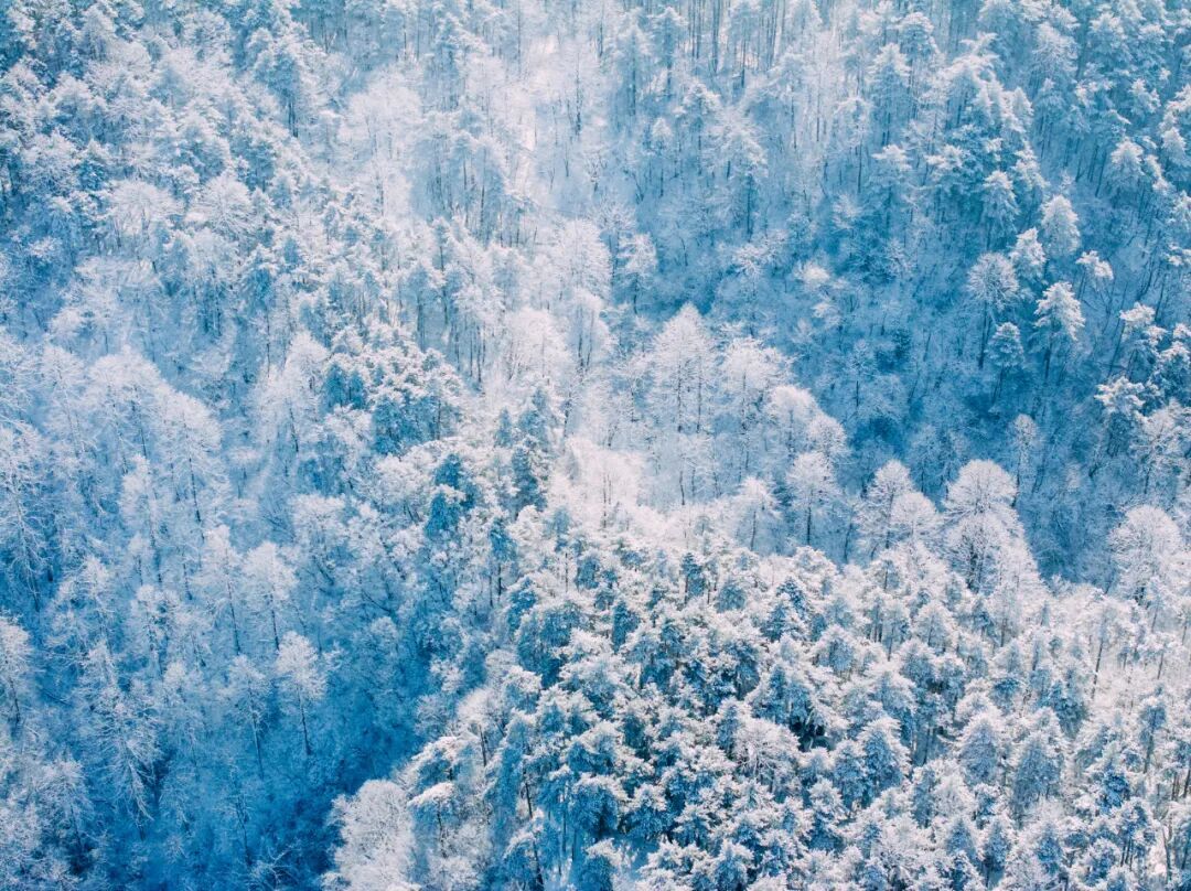 元旦去哪玩?临安6条绝美冰雪游线地图发布,景美宿暖!
