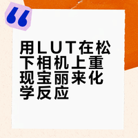 松下与艺术化学反应🌁宝丽来LUT上架